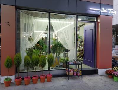 1번째꿈꾸는 사랑나무사진