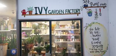 1번째아이비플라워사진